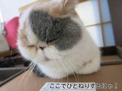 ど〜ぞ!