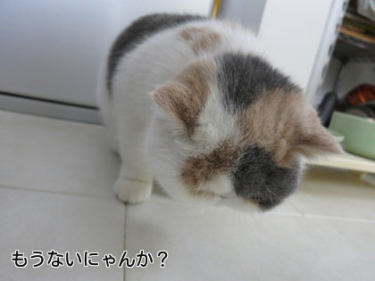 あずちゃんまた今度です