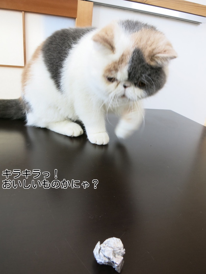 チョコが包んであった銀紙だけど、、、