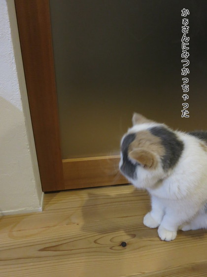 かぁさんにみつかる!
