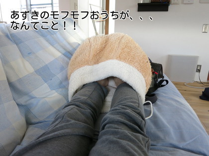 もふもふお家の活用法