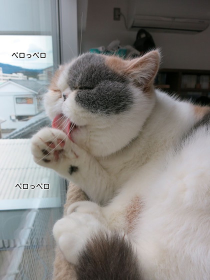 ご飯の後は、、、