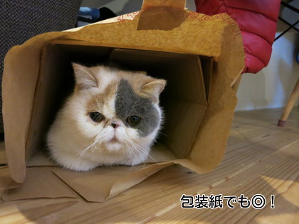 やっぱり好きよね