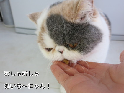 かぁさんおいちい