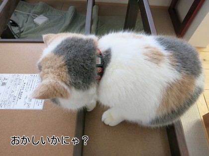 こたつのコード入れですが