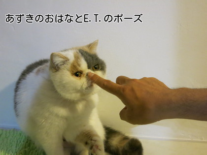 あずきのお鼻とE.T.のポーズ