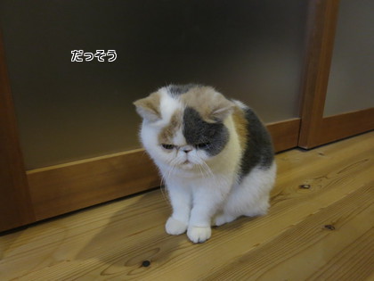少々反省?