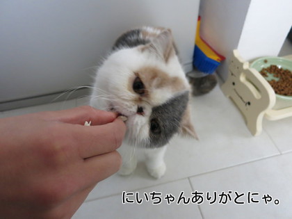 息子が食べさせてます