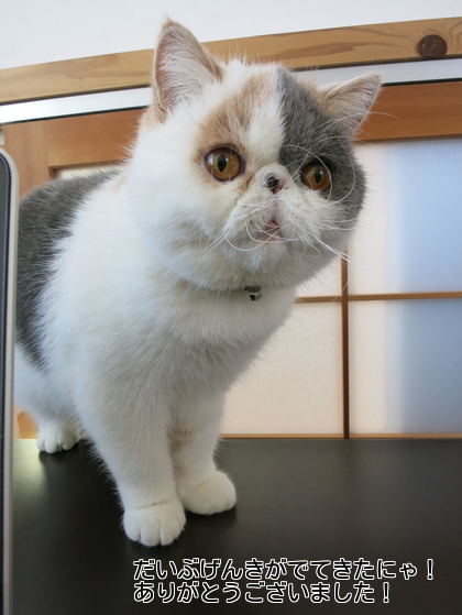 ありがとうございました!