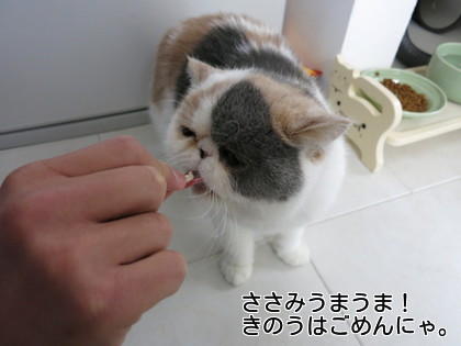 ささみの美味しさを初めて知ったあずき