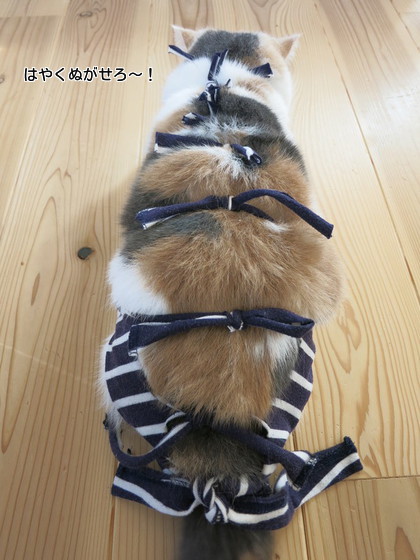 術後着3