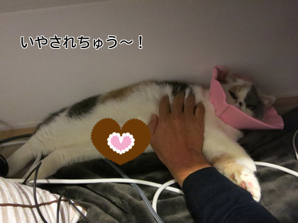 起きたら癒やされ中~!
