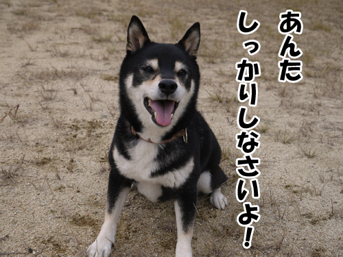 しっかりしなさいよ