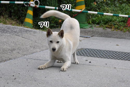 20131204P1040026.jpg