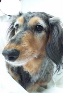 20130527-4JPG.jpg
