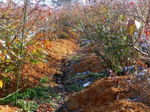 s-141223CIMG0386.jpg