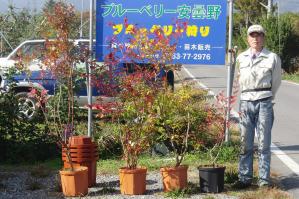 s-20111019CIMG2694.jpg