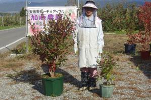 s-20111023CIMG2715.jpg