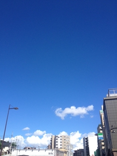 20130207_10.jpg