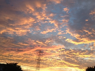20130207_6.jpg