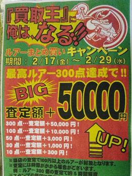 キャンペーン