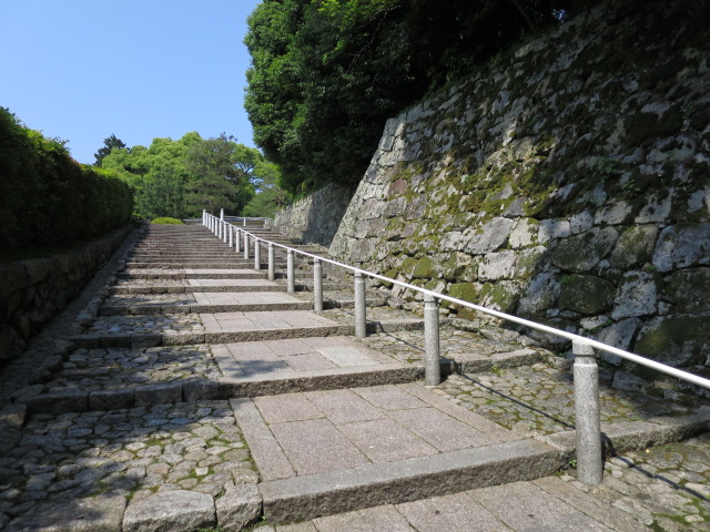 IMG_0935.jpg