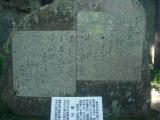 CIMG2951.jpg