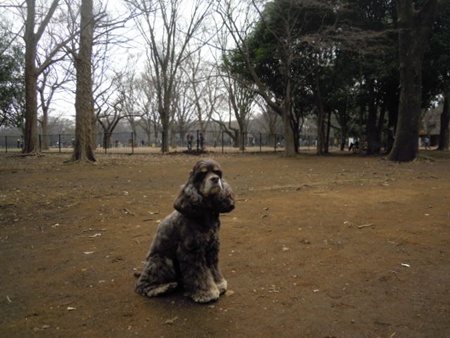 DSCN4135.jpg