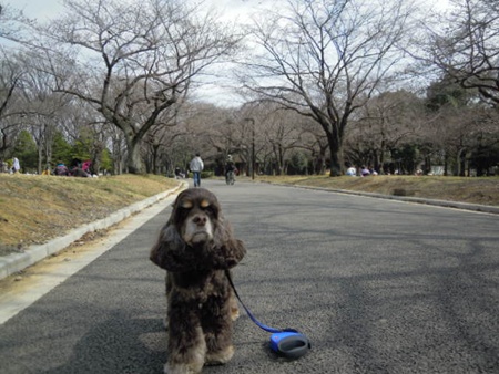 DSCN4137.jpg