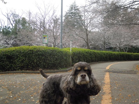 DSCN4233.jpg