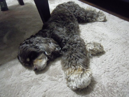 DSCN4594.jpg
