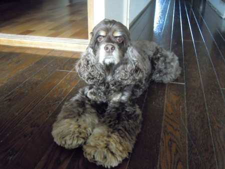 DSCN4598.jpg
