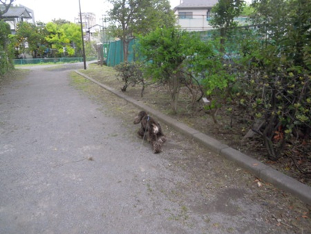 DSCN4602.jpg