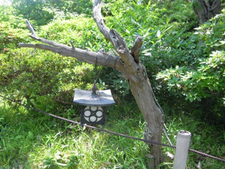 DSCN4867.jpg
