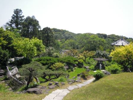 DSCN4875.jpg