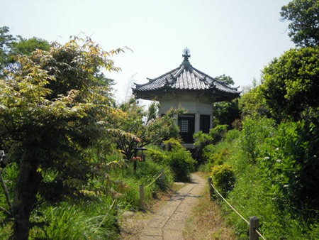 DSCN4879.jpg