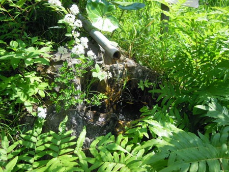 DSCN4883.jpg