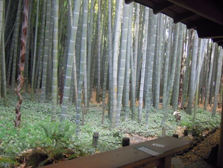 DSCN4895.jpg