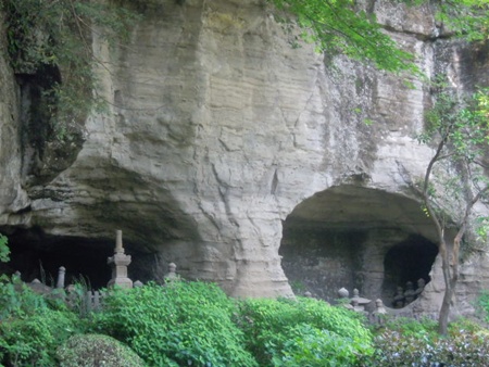 DSCN4901.jpg