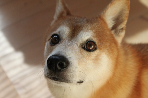 20131216002.jpg