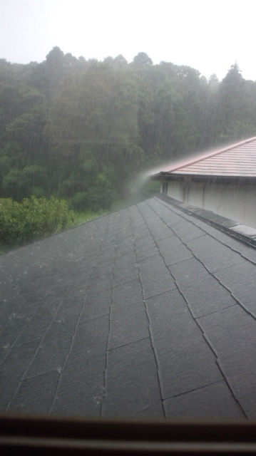 20110825013606.jpg