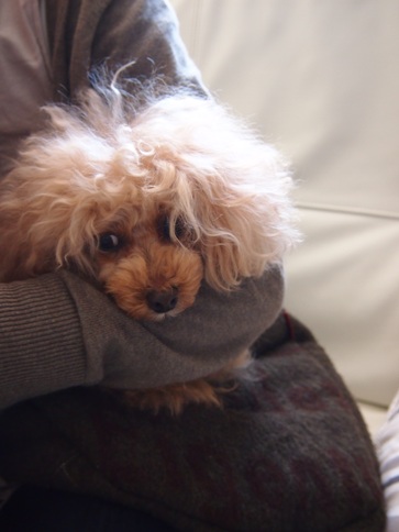 20131212-3.jpg