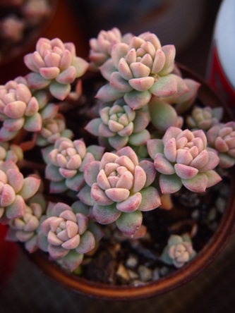 20131213-15.jpg