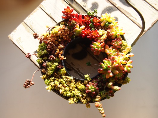 20131220-1.jpg