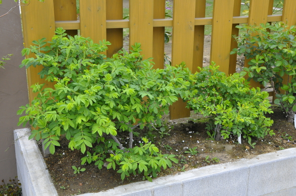 2012.4.30 7