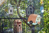 DSC01825_convert_20111027140230.jpg