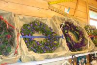 DSC01826_convert_20111027140248.jpg