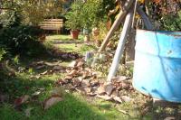 DSC01829_convert_20111027140401.jpg