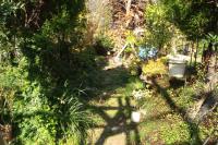 DSC01833_convert_20111027140528.jpg