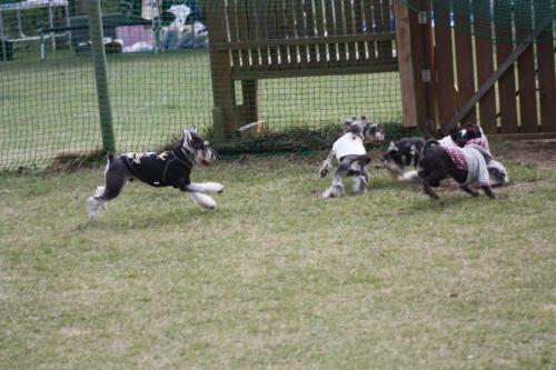 IMG_5838_convert_20111024215533.jpg